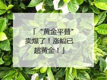 “黄金平替”卖爆了！涨幅已超黄金！