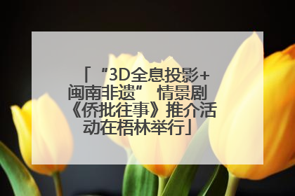 “3D全息投影+闽南非遗” 情景剧《侨批往事》推介活动在梧林举行