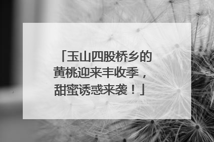 玉山四股桥乡的黄桃迎来丰收季，甜蜜诱惑来袭！