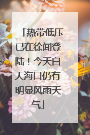热带低压已在徐闻登陆！今天白天海口仍有明显风雨天气