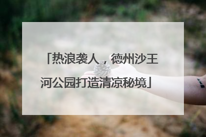 热浪袭人，德州沙王河公园打造清凉秘境