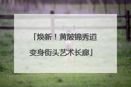 焕新！黄陂锦秀道变身街头艺术长廊