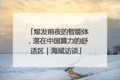 爆发前夜的智能体，落在中国算力的舒适区｜海斌访谈