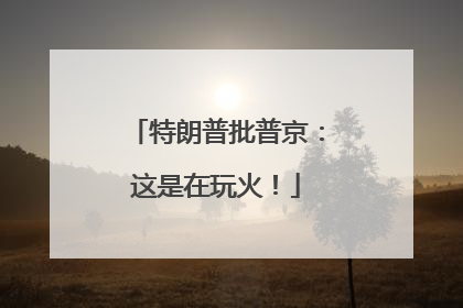 特朗普批普京：这是在玩火！
