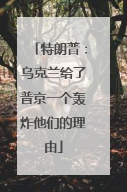 特朗普：乌克兰给了普京一个轰炸他们的理由