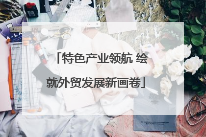 特色产业领航 绘就外贸发展新画卷