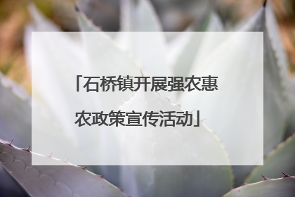 石桥镇开展强农惠农政策宣传活动