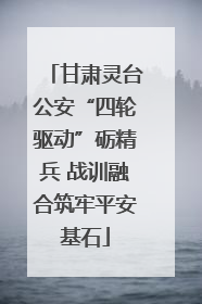甘肃灵台公安“四轮驱动”砺精兵 战训融合筑牢平安基石