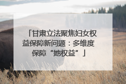 甘肃立法聚焦妇女权益保障新问题：多维度保障“她权益”