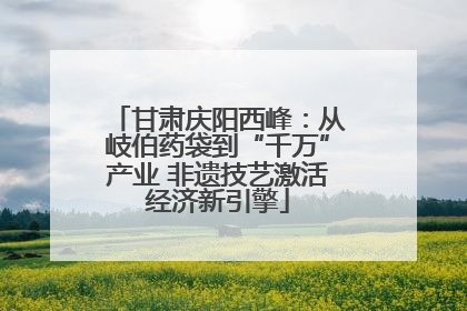 甘肃庆阳西峰：从岐伯药袋到“千万”产业 非遗技艺激活经济新引擎