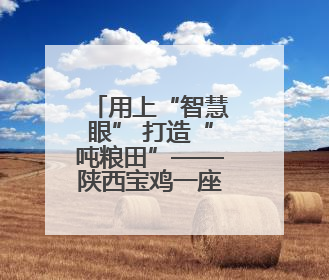 用上“智慧眼” 打造“吨粮田”——陕西宝鸡一座无人农场夏收见闻