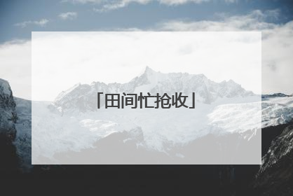 田间忙抢收