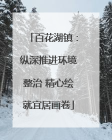 百花湖镇：纵深推进环境整治 精心绘就宜居画卷