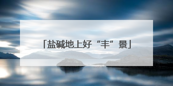 盐碱地上好“丰”景