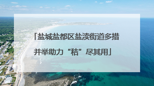 盐城盐都区盐渎街道多措并举助力“秸”尽其用