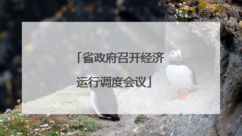省政府召开经济运行调度会议