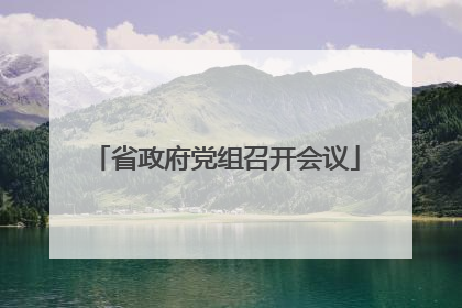省政府党组召开会议