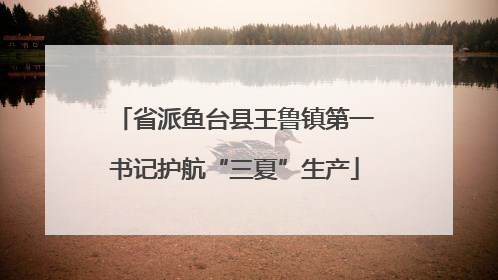 省派鱼台县王鲁镇第一书记护航“三夏”生产