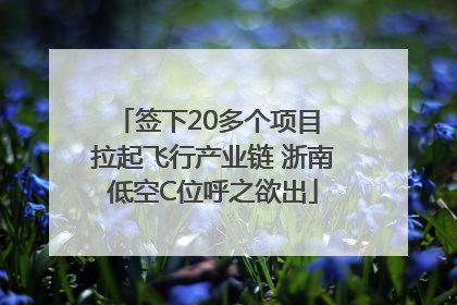签下20多个项目 拉起飞行产业链 浙南低空C位呼之欲出