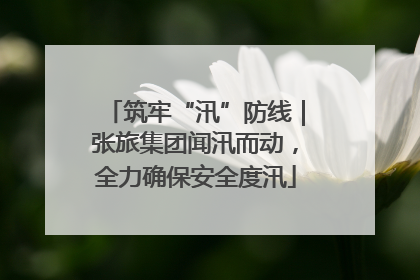 筑牢“汛”防线｜张旅集团闻汛而动，全力确保安全度汛