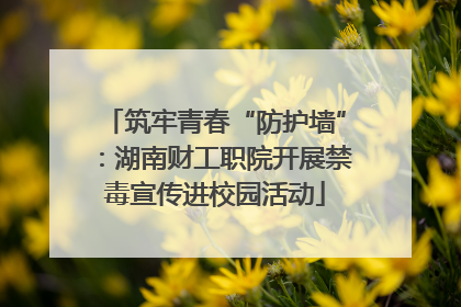 筑牢青春“防护墙”：湖南财工职院开展禁毒宣传进校园活动