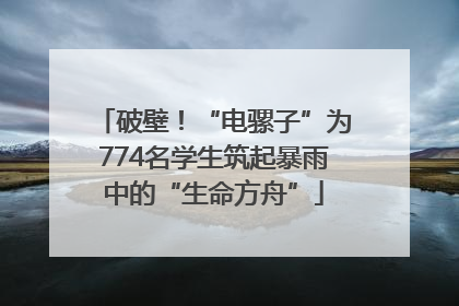 破壁！“电骡子”为774名学生筑起暴雨中的“生命方舟”