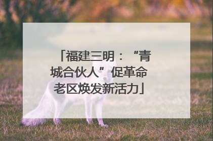 福建三明：“青城合伙人”促革命老区焕发新活力
