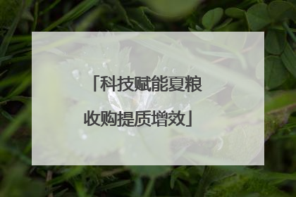 科技赋能夏粮收购提质增效