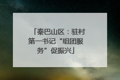 秦巴山区：驻村第一书记“组团服务”促振兴