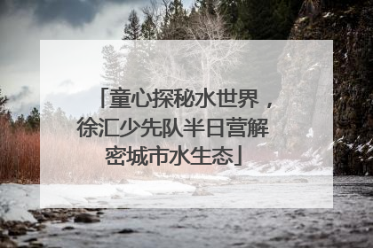 童心探秘水世界，徐汇少先队半日营解密城市水生态