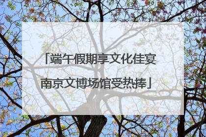 端午假期享文化佳宴 南京文博场馆受热捧
