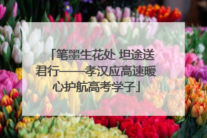 笔墨生花处 坦途送君行——孝汉应高速暖心护航高考学子