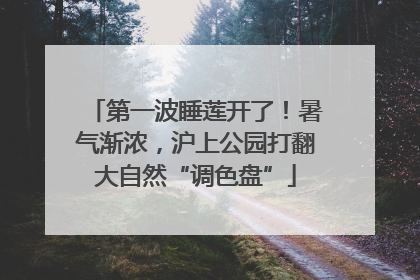 第一波睡莲开了！暑气渐浓，沪上公园打翻大自然“调色盘”