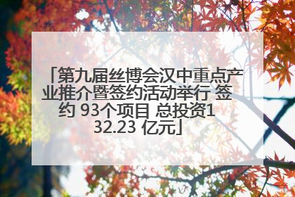 第九届丝博会汉中重点产业推介暨签约活动举行 签约 93个项目 总投资132.23 亿元