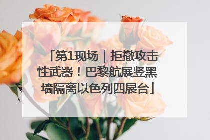 第1现场｜拒撤攻击性武器！巴黎航展竖黑墙隔离以色列四展台
