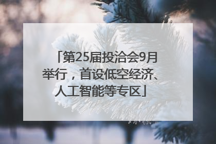 第25届投洽会9月举行，首设低空经济、人工智能等专区