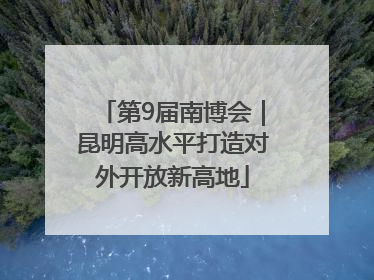 第9届南博会｜昆明高水平打造对外开放新高地