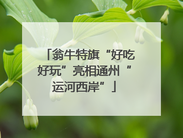 翁牛特旗“好吃好玩”亮相通州“运河西岸”
