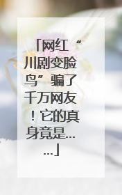网红“川剧变脸鸟”骗了千万网友！它的真身竟是……