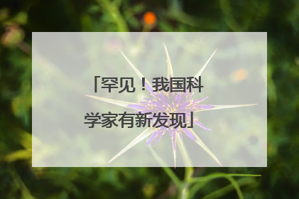 罕见！我国科学家有新发现
