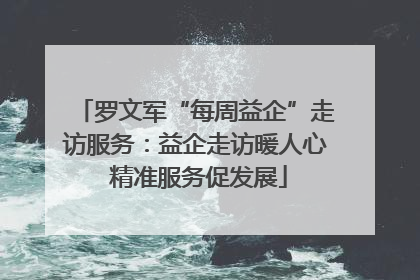 罗文军“每周益企”走访服务：益企走访暖人心 精准服务促发展