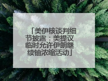美伊核谈判细节披露：美提议临时允许伊朗继续铀浓缩活动