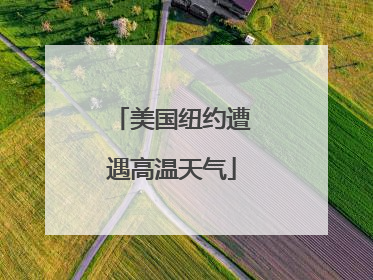 美国纽约遭遇高温天气