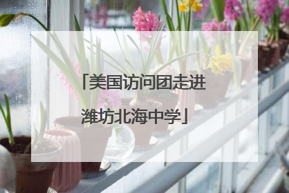 美国访问团走进潍坊北海中学