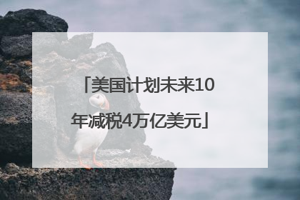 美国计划未来10年减税4万亿美元