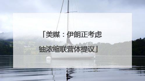 美媒：伊朗正考虑铀浓缩联营体提议