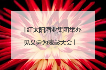 红太阳酒业集团举办见义勇为表彰大会