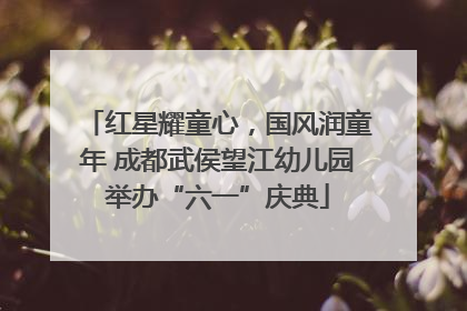 红星耀童心，国风润童年 成都武侯望江幼儿园举办“六一”庆典