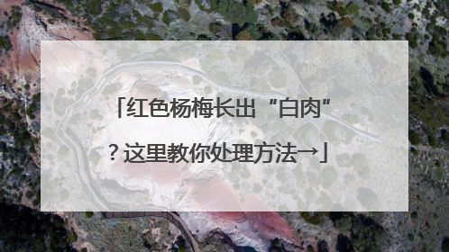 红色杨梅长出“白肉”？这里教你处理方法→