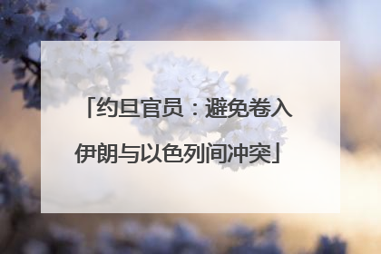 约旦官员：避免卷入伊朗与以色列间冲突